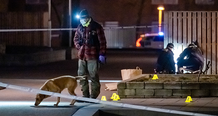 Det är mörkt ute. Poliserna har spärrat av. Flera poliser letar bevis. De har pannlampor på sig.