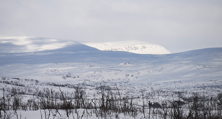 Fjällen på avstånd.