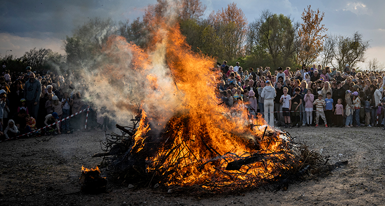 En brasa flammar. Folk står runt om en bit ifrån elden.