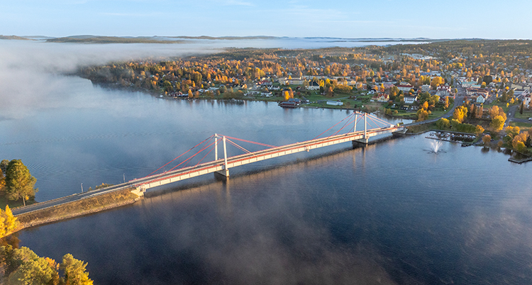 En bild från luften som visar bron.