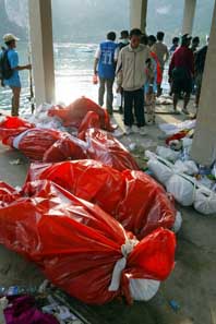 Döda kroppar körs med båt från den thailändska ön Phi Phi. Foto: Pressens Bild.