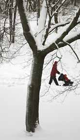 Snön vräkte ner över södra Sverige i helgen. Roligt för pulkaåkare och skidåkare, men besvärligt för bilisterna. Foto: Ulrika Åling/8 SIDOR