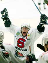 Anders Burström jublade när Södertälje tog sig till SM-slutspel i ishockey. Foto: Alf Lindbergh/PrB