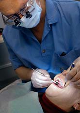 Det som utbildar sig till tandläkare nu kommer säkert att få jobb om några år. Foto: Tomas Oneborg/SvD/Scanpix