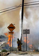 I Kalifornien kämpar brandmännen med att släcka de stora eldarna. Foto: Damian Dovarganes/AP Photo