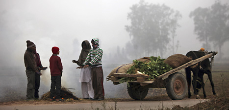 Människor i den indiska staden Jammu värmer sig vid en eld. Kylan har dödat många människor. Foto: Channi Anand/Scanpix