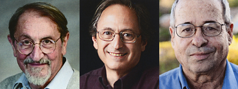 Martin Karplus, Michael Levitt och Arieh Warshel får Nobelpriset i kemi.
Foto: Claudio Bresciani/TT