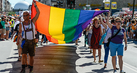 Många partier säger att de vill ha en politik som är bra för homosexuella. Bilden är från Prideparaden 2013. Foto: Leif R Jansson/TT