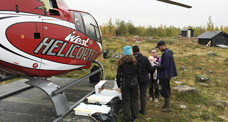 Helikoptern har landat i Vuoksu i fjällen där sju personer passade på att rösta. Foto: Jon Larsson /Westhelikopter