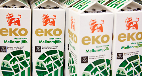 Mjölk kan öka risken för att bryta benet, säger forskare.
Foto: Fredrik Person/TT.