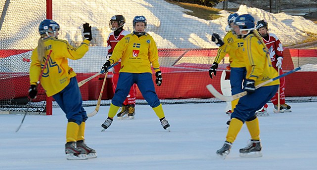 Sveriges landslag i bandy jublar på planen.