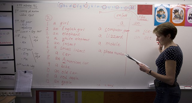 En lärare som undervisar vid en whiteboard.