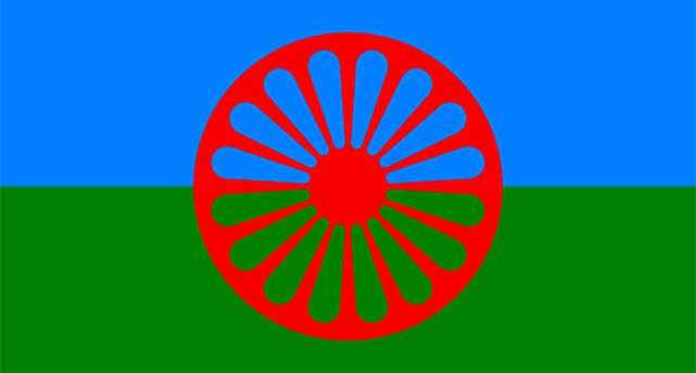 Flaggan är hälften grön och hälften blå med ett rött hjul i mitten
