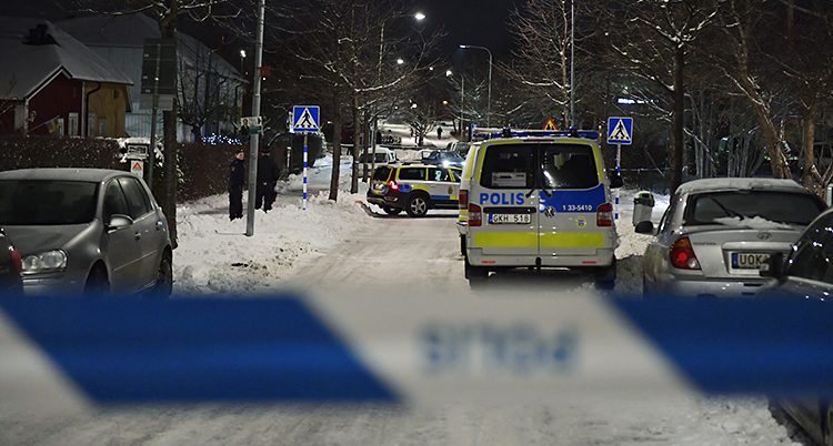 poliser i Kista