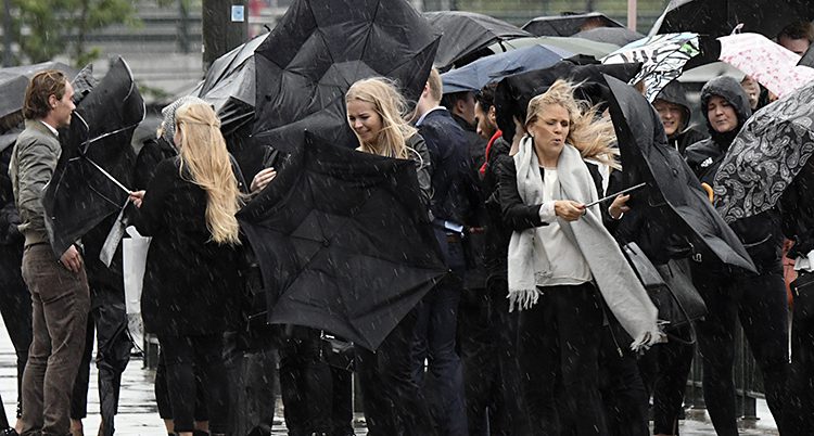 Regn och blåst i Malmö