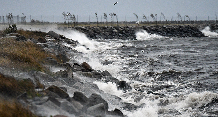 Stora vågor vid havet i Trelleborg