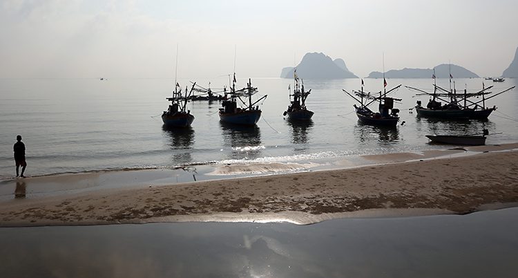 Fiskebåtar i Thailand