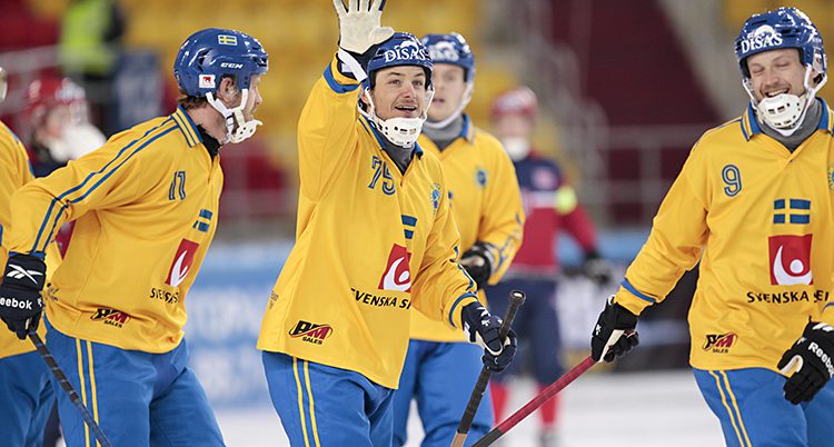 Sverige vann mot Finland.