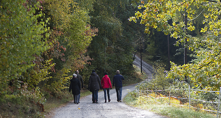 En familj med pensionärer, barn och barnbarn