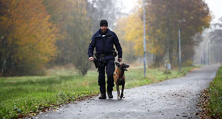 En polis och en hund går på en väg.