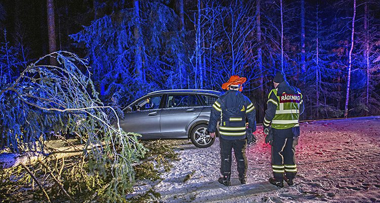 En bil har krockat med ett nedfallet träd