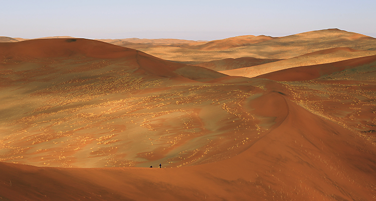 Öknen i Namibia.