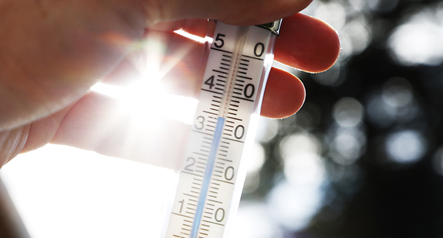 En hand håller upp en termometer som visar 35 grader.