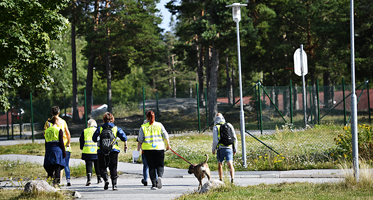 Folk i gula västar och en hund går på en gångväg.