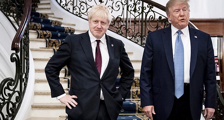Johnson ser nöjd ut bredvid Trump nedanför en trappa