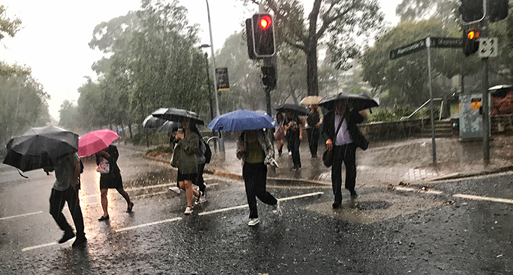 Människor har paraplyer i händerna. Det regnar.