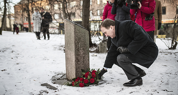 Löfven siter på huk och rättar till en buket med rosor framför stenen.