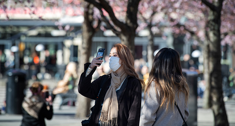 en kvinna med munskydd i kungsträdgården tar en bild på blommande träd