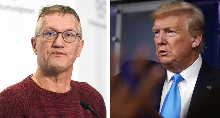 Bilden är delad i två. Till vänster Anders Tegnell i glasögon. Till höger Donald Trump i blå slips.