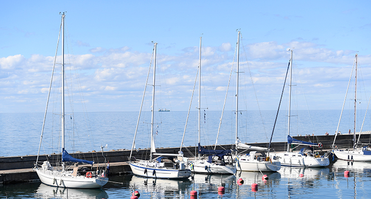 Segelbåtar på rad