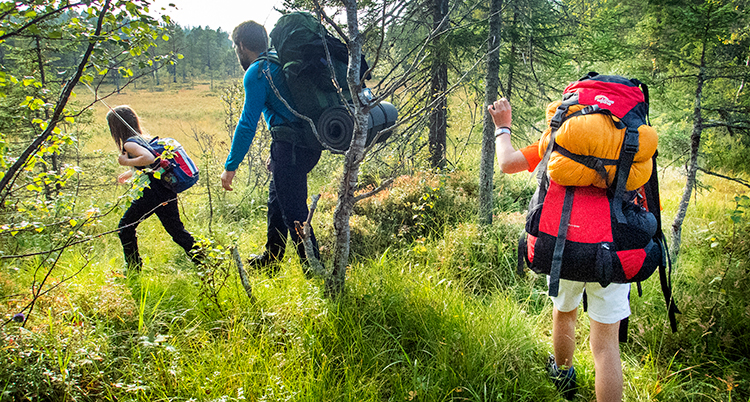 en familj på vandring på ett fält nära en skog.