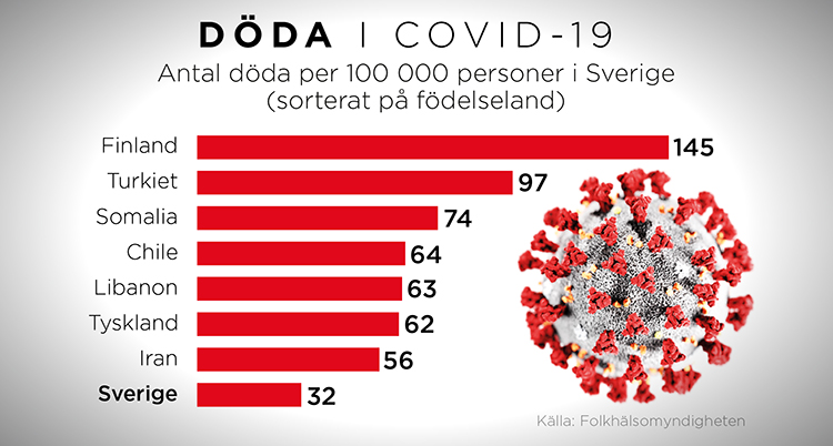 Bilden visar staplar över hur många som dött per 100 tusen av viruset corona uppdelat på vilket land de är födda i. 