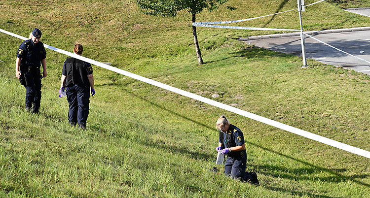 Tre poliser är på en slänt med gräs. De har plasthandskar på sig. De verkar leta efter spår. Runt slänten har poliserna spärrat av med band.