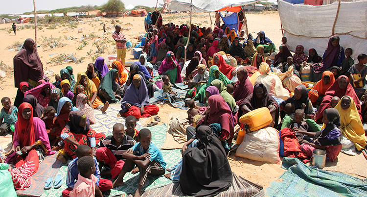 En stor grupp flickor och kvinnor i ett flyktingläger i Somalia. En del har också barn.