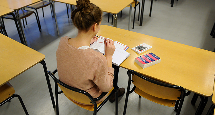 Bilden är från ett klassrum. En kvinna sitter med ryggen mot kameran. Hon har flera böcker framför sig, på ett bord.