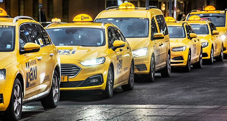 En lång rad med gula taxibilar. De står efter varandra.