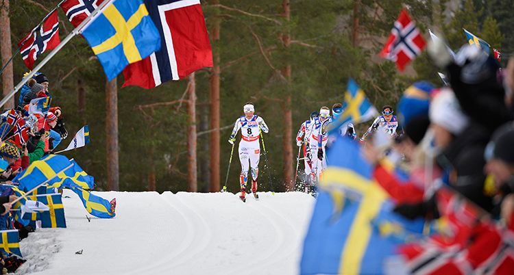 En skidåkare i vit skiddress kör i längdskidspåret. Vid sidorna står publik med svenska och norska flaggor.