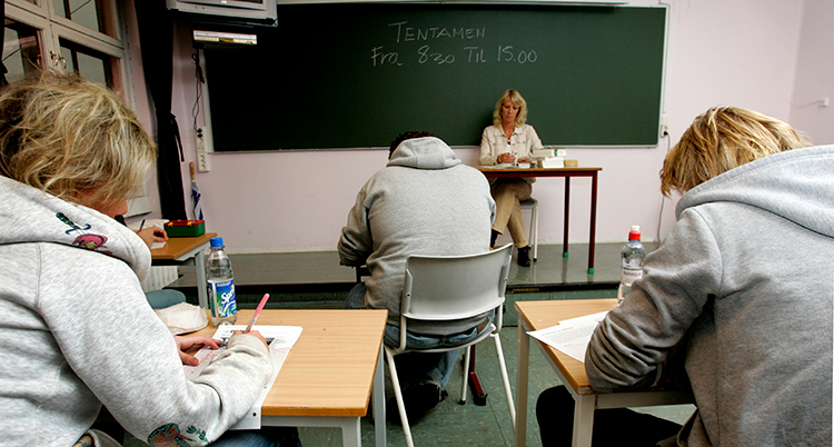 Elever i ett klassrum.