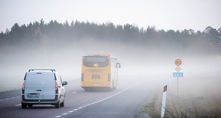 En bil och en buss kör på en väg. Det är lätt dimma.