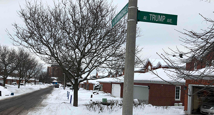 En skylt där det står Trump Avenue sitter på en stolpe intill flera hus vid en snöig gata i ett bostadsområde