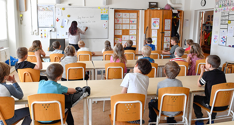 Skolado - Enkätverktyg för grundskolor