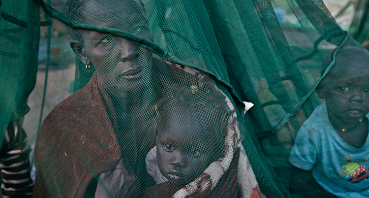 Ett grönsvart nät ses i förgrunden över bilden. Bakom nätet sitter en kvinna med ett barn i hamnen. Bredvid henne sitter en pojke. De skyddas av nätet.