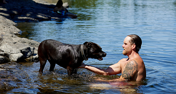 En man och en svart hund badar i en flod.