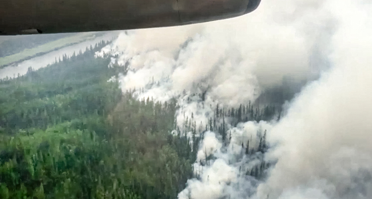 Tjock rök ligger över grön granskog. Bilden är tagen ovanifrån, från ett flygplan.