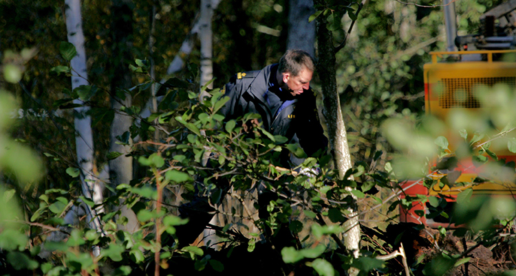 En polis letar bakom en buske i skogen.