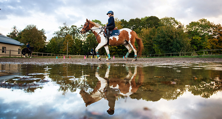 En flicka med ridhjälm rider på en brunvit häst. Ekipaget speglar sig i en vattenpöl.
